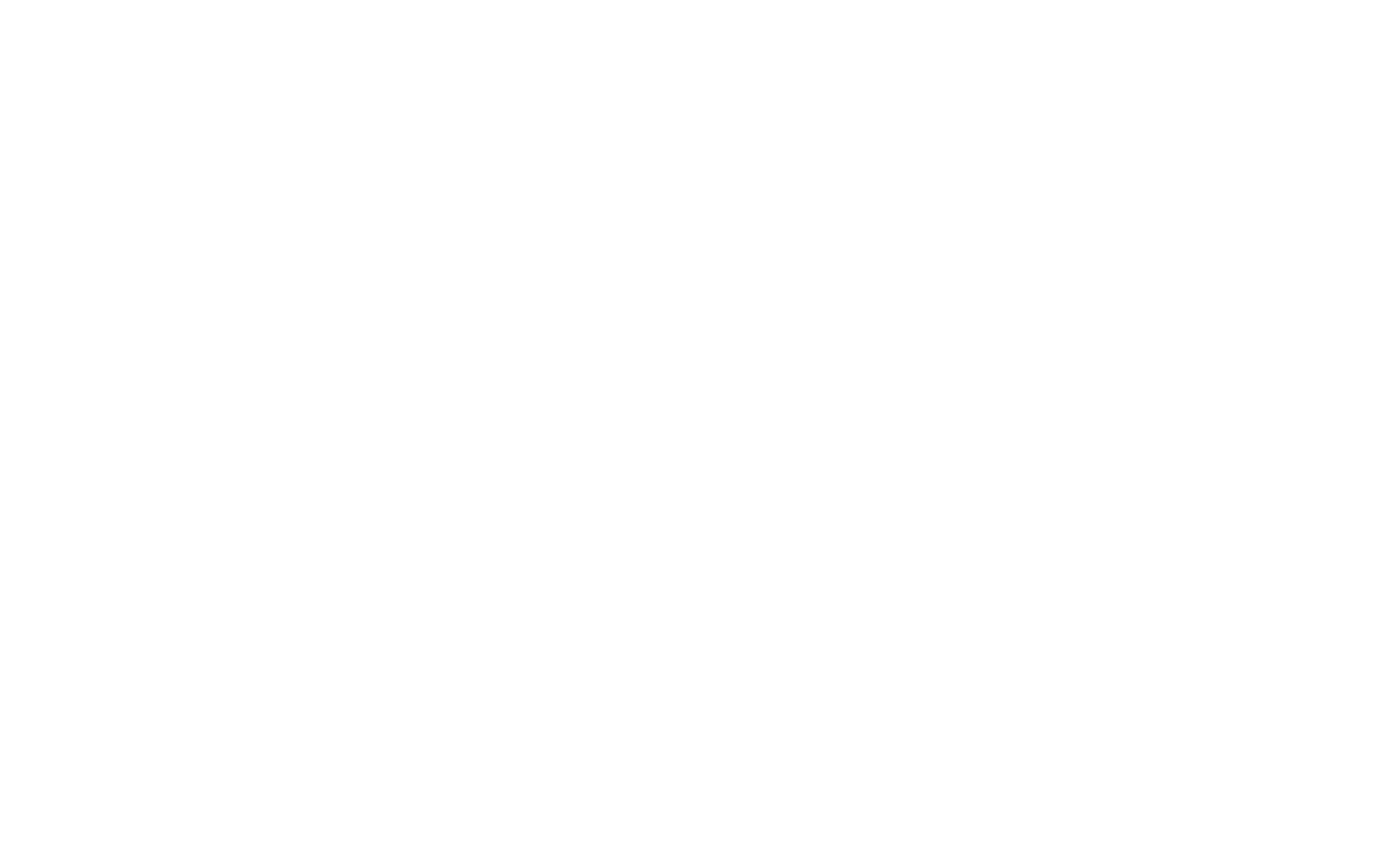 michele-sinibaldi-high-resolution-logo-white-on-transparent-background